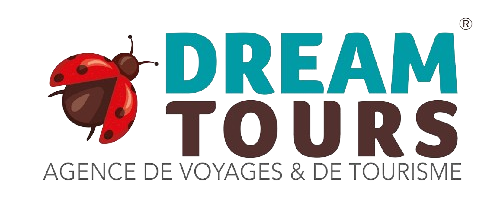 Dream tours nouveau logo 2